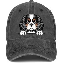 Dog Gifts Dogs Baseball Cap Printed Cute Doggie Adjustable Denim Hats Dog Lover Gifts for Women Men
