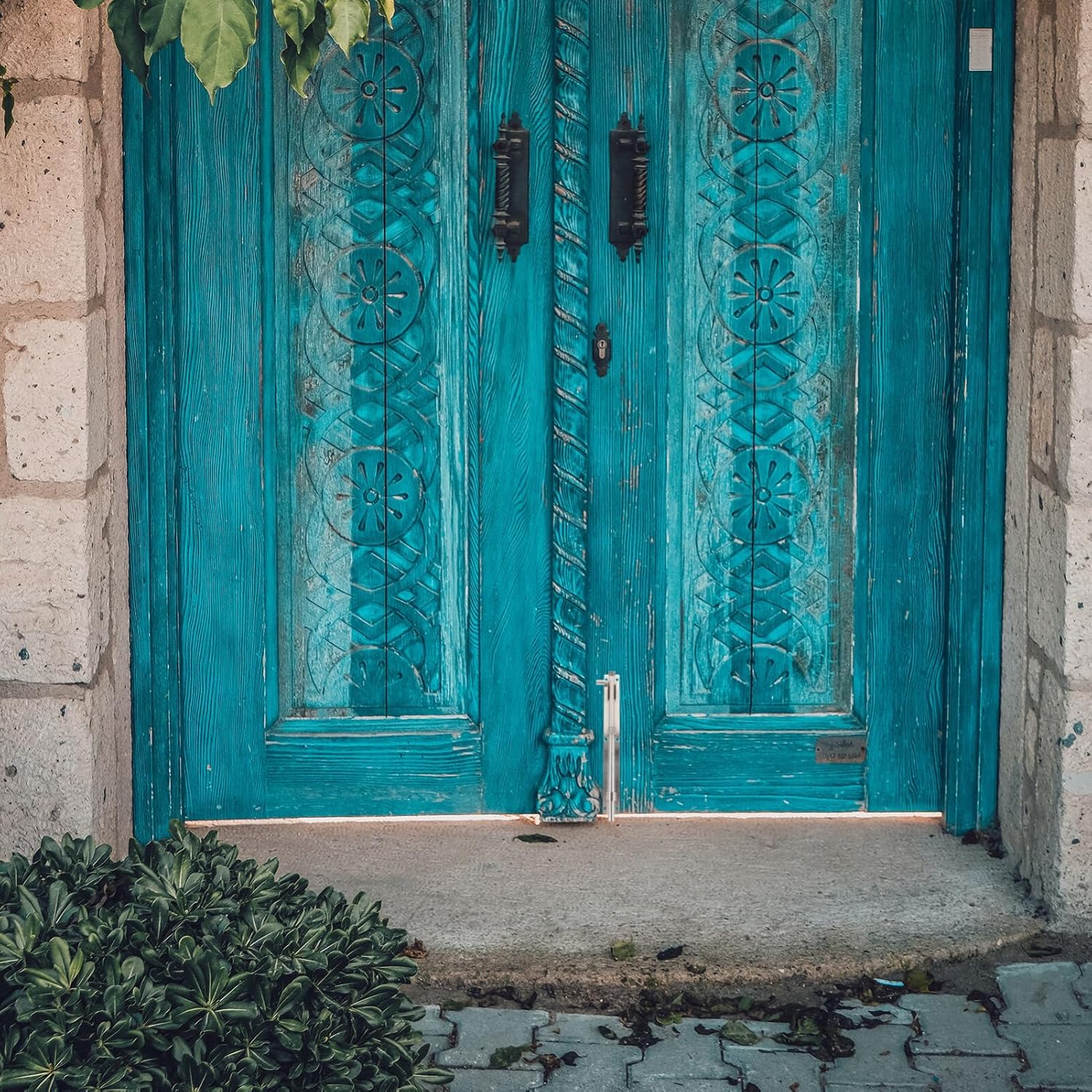 DOITOOL 2PCS Stainless Steel Cane Bolt Gate Drop Rod for Wood Fence, 12 Inch Gate Ground Latch for Wooden Fences Metal Gates Doors, Gate Drop Pin for Holding Gate to The Ground