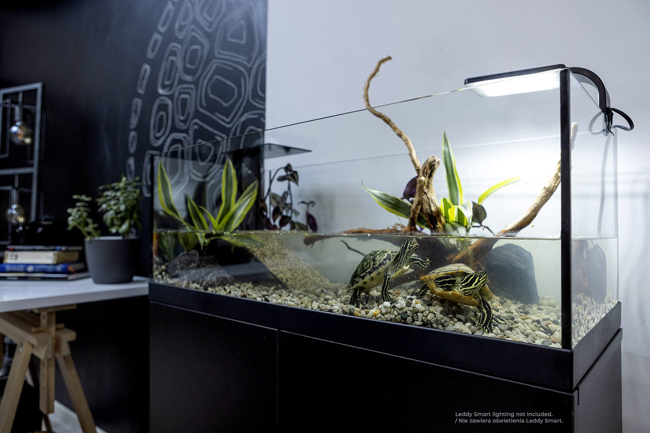 Aquaterrarium 80