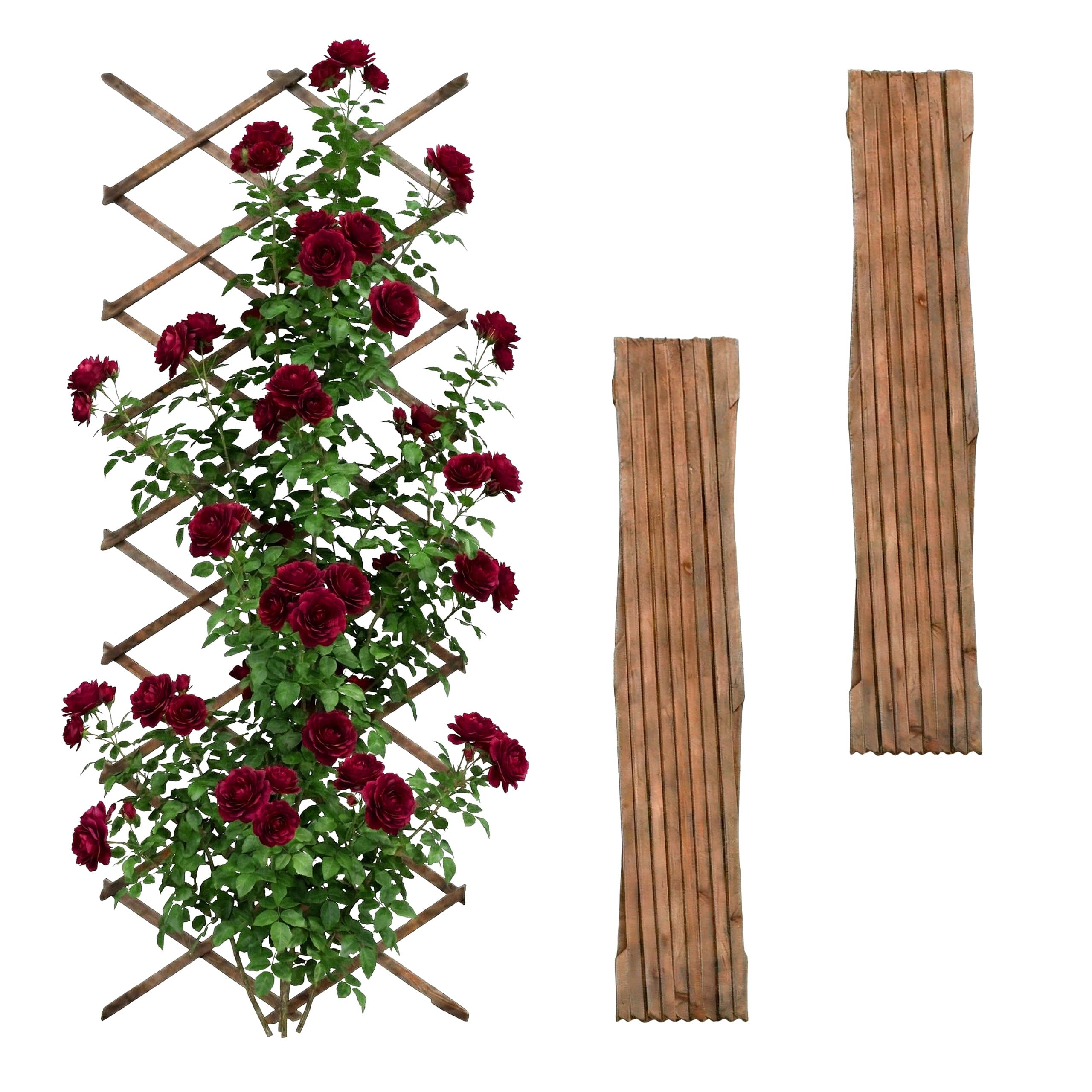 Treillis Extensible Relaxdays, Lot de 3, 310x90 cm, Bois, Fixation Murale, pour Plantes grimpantes, Finition brûlée
