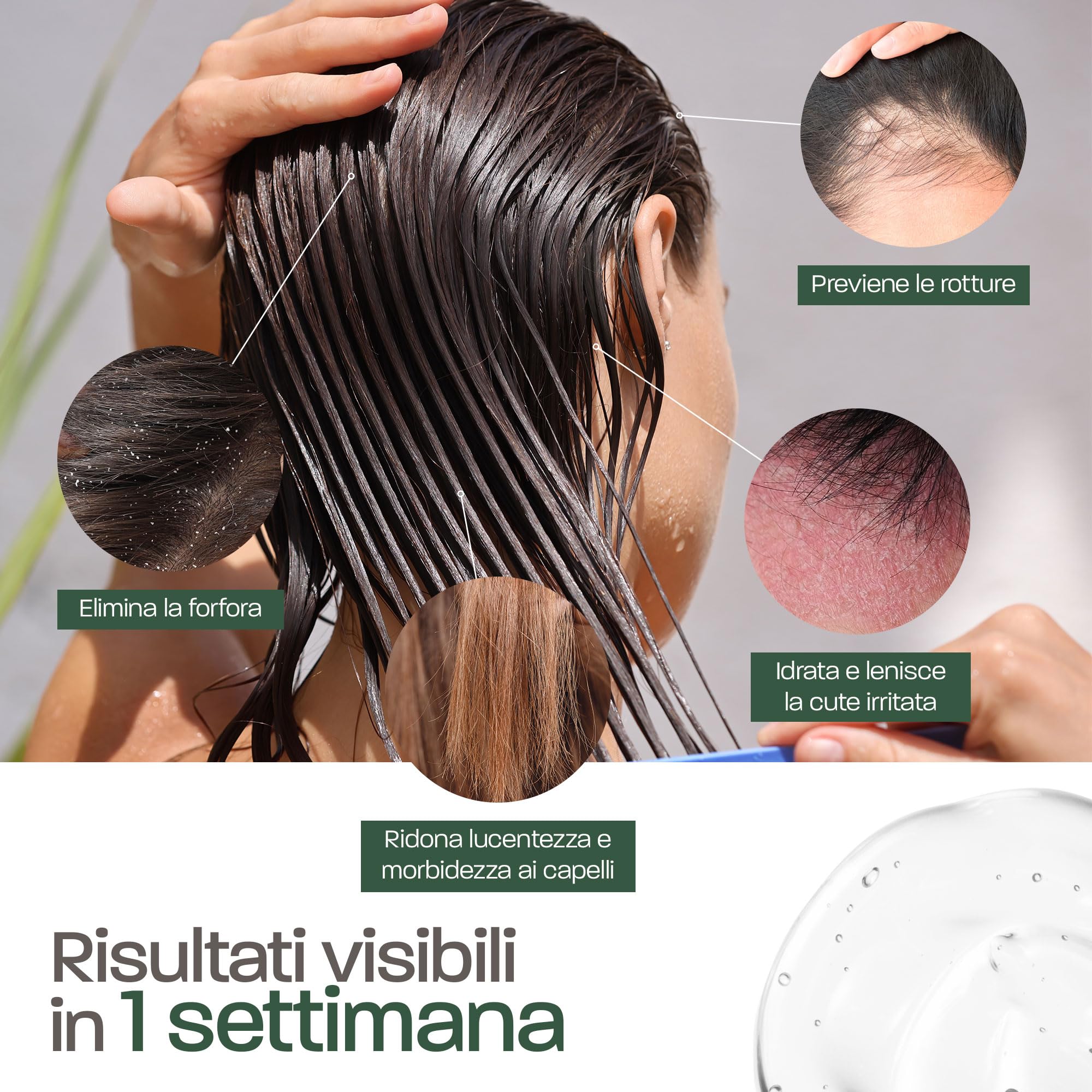 Gel Aloe Vera & Zenzero – Idratante, Tonificante e Rassodante – Con Aloe Fresco Biologico da Spagna – Per Viso, Corpo, Capelli – Doposole, Post Rasatura, Gambe Pesanti – Prodotto in Francia 5000 ml
