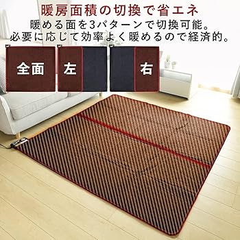 Amazon | [山善] 空気をキレイにする ホットカーペット 電気