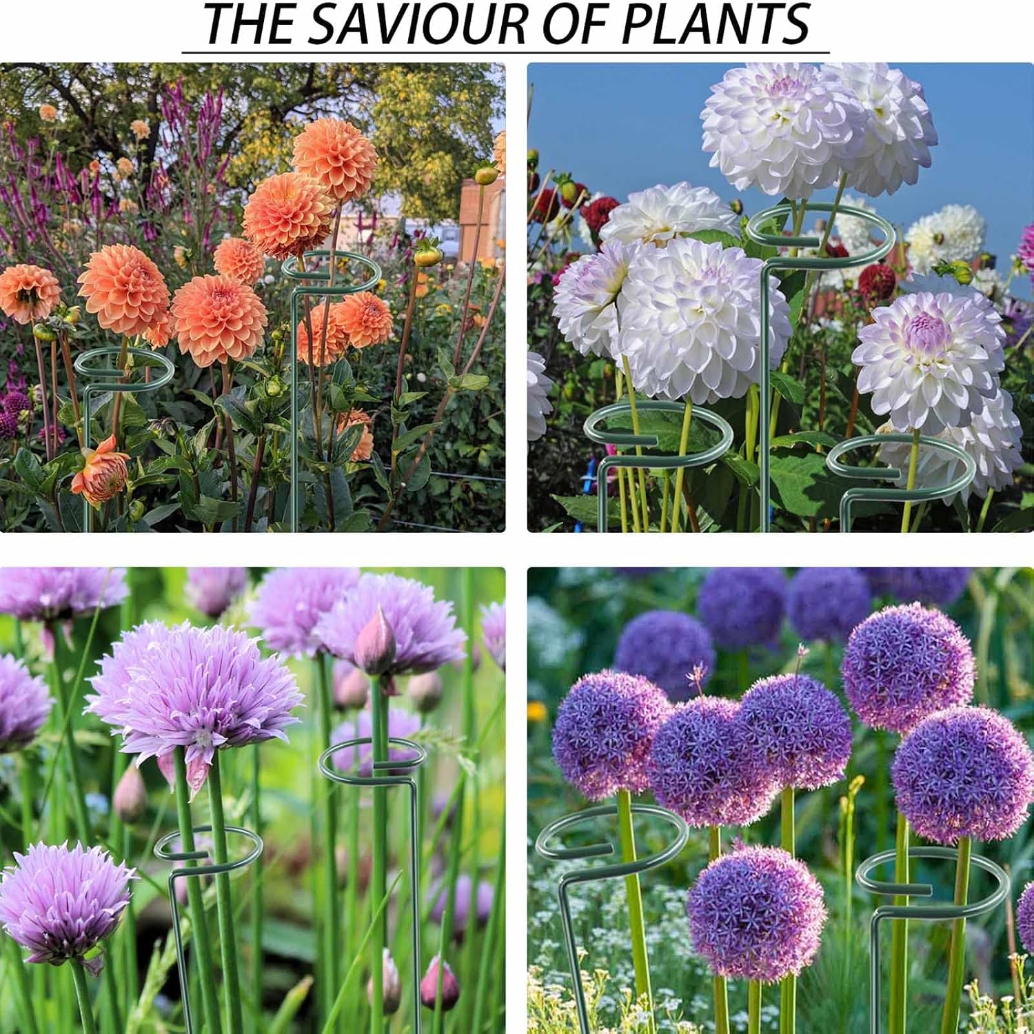 12 Pack 36 inch Plant Support Stakes ,Single Stem Plant Support Stake Single Plant Stem Garden Flower Support Stake Steel Plant Cage Support Ring for Orchid Gladiolus Iris Dahlia Amaryllis Rose Lily