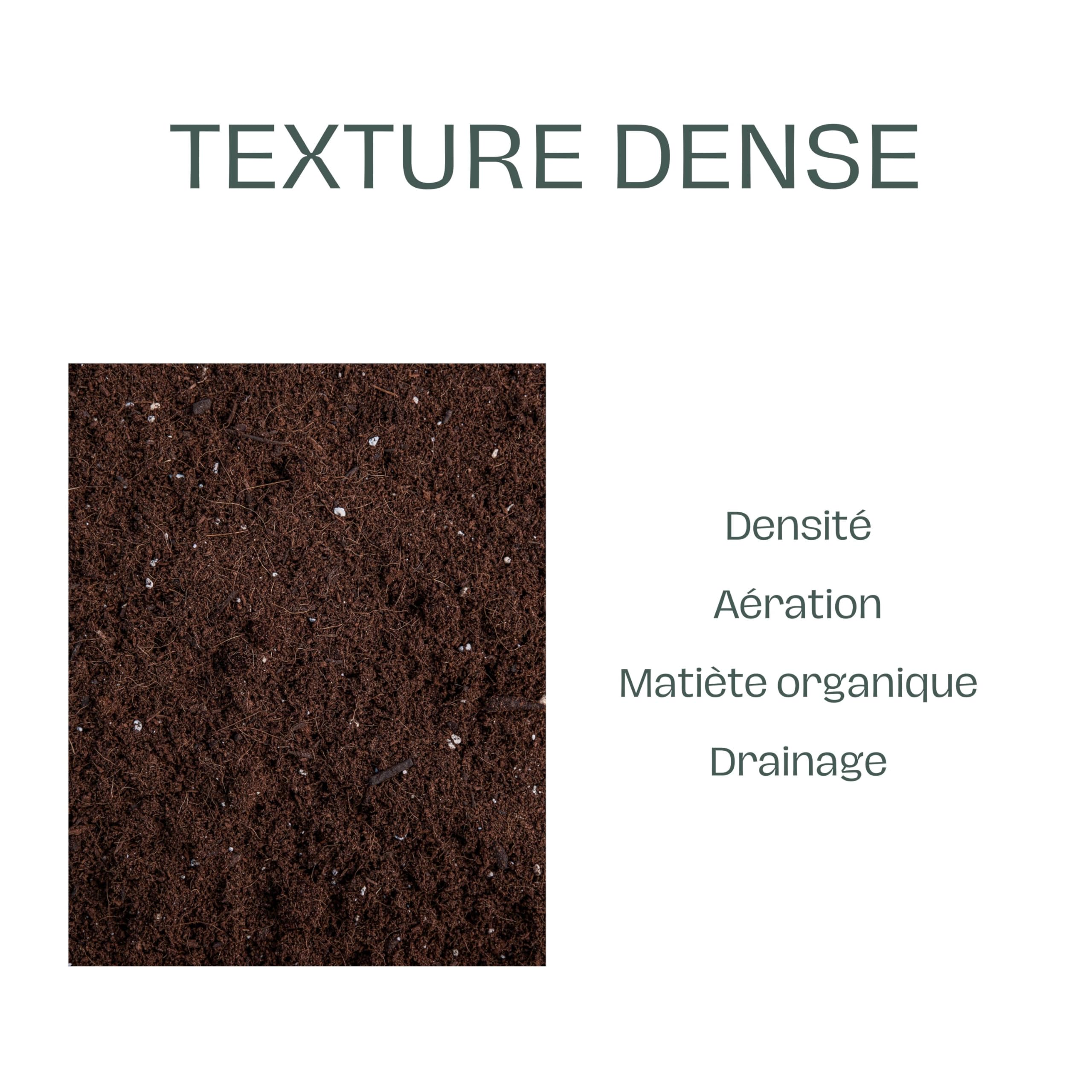 La Plaine Chassart - Terreau Universel 50L - Toutes Les Variétés de Plantes Intérieur et Extérieur - Jardin, Terrasse, Balcon, Potager - Palmier, Plantes Grasses, Semis, Bonsai, Légumes, Cactus, ...