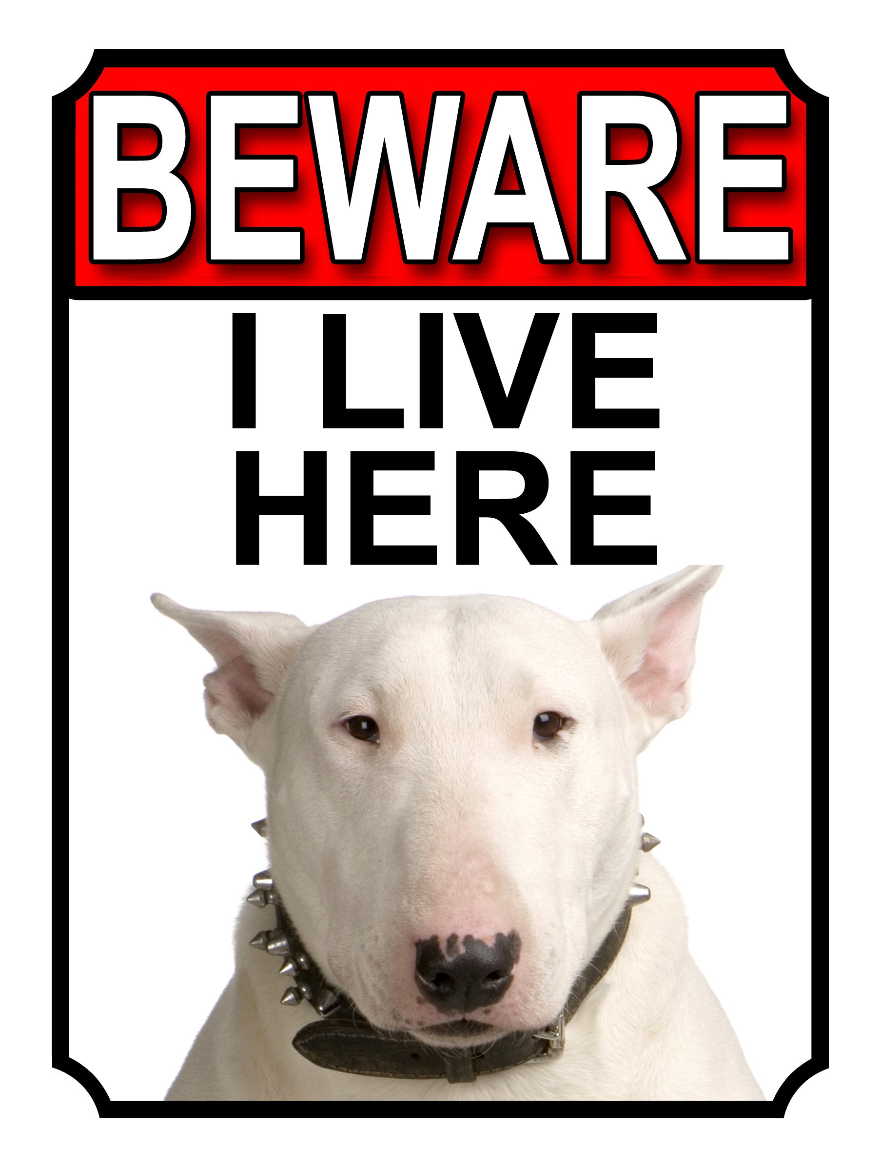 BEWARE I LIVE HERE METAL GATE SIGN BULL TERRIER 200MM X 10MM (1050H1)