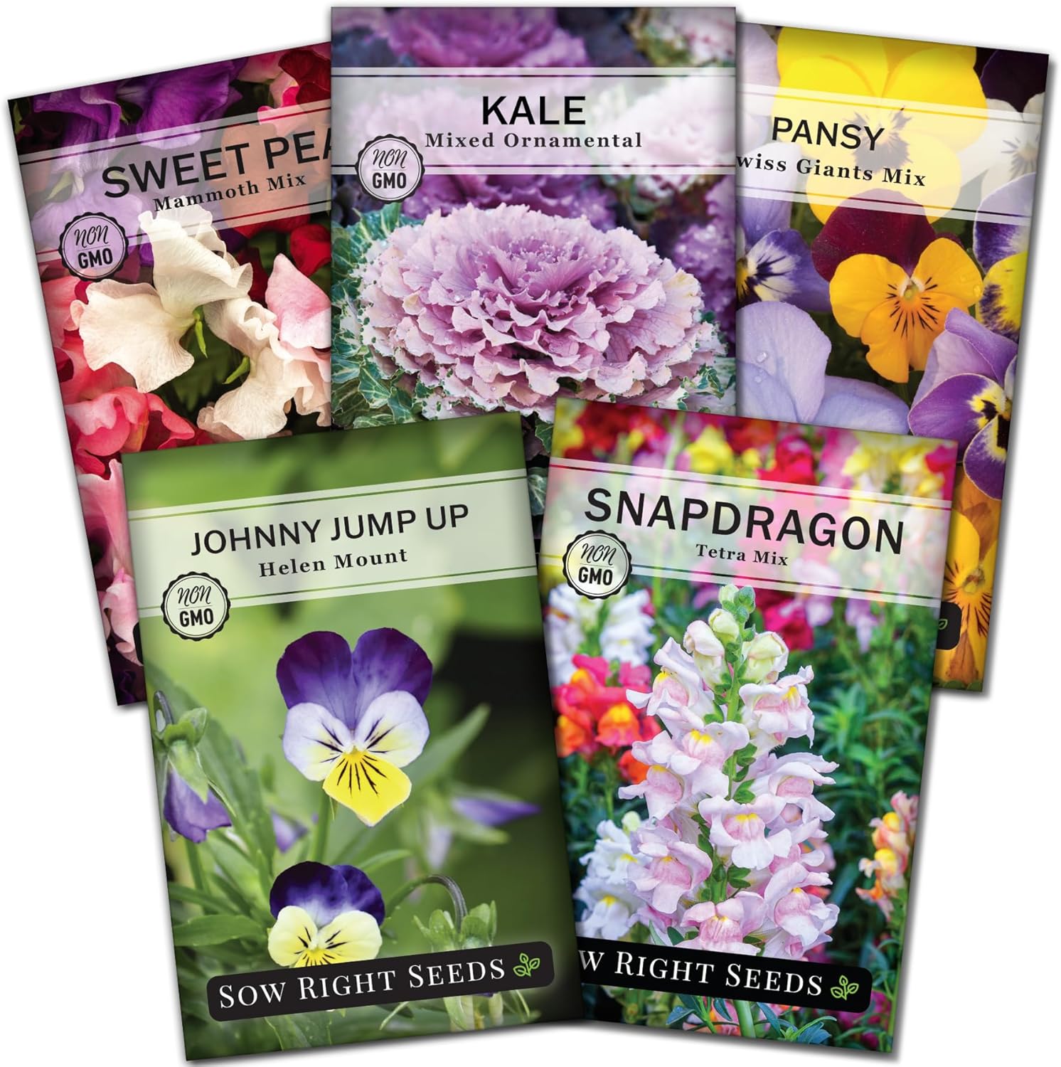 Sow Right Seeds Frost Hardy Seed Collection for Planting