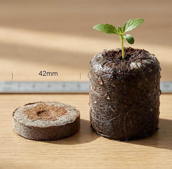 J PLUS T 42mm Peat Pellets - Authentic Jiffy-7 Source Seed Starter Plugs - Compressed Canadian Sphagnum Peat Moss Soil for Germination - Larger Size for Vegetables, Flowers & Herbs (50 Count) - 3