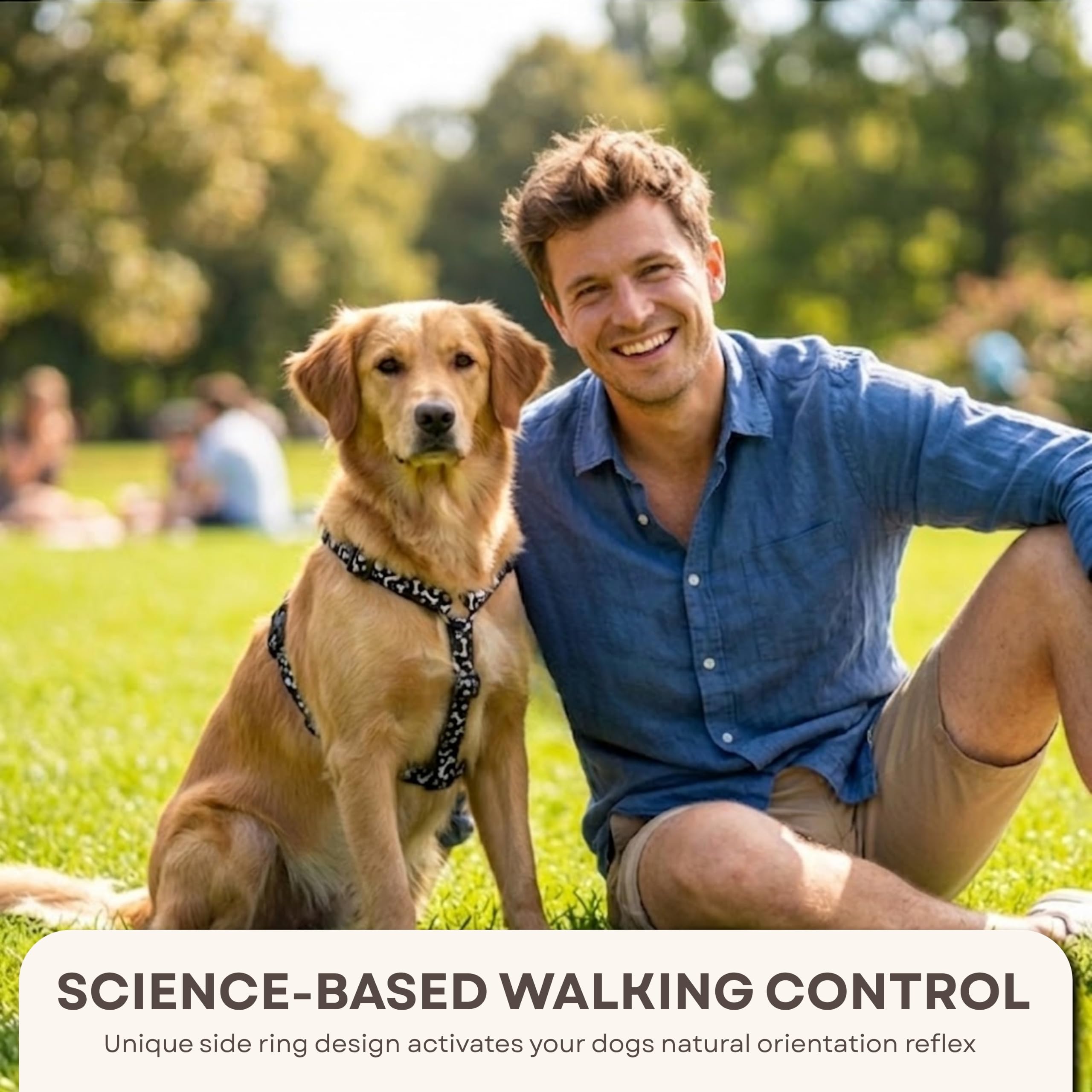 Wonderwalk - Arnés antitirones para perros, arnés ajustable, arnés para perros con anillo lateral, control fácil, apto para perros de talla pequeña, mediana y grande (negro, L)