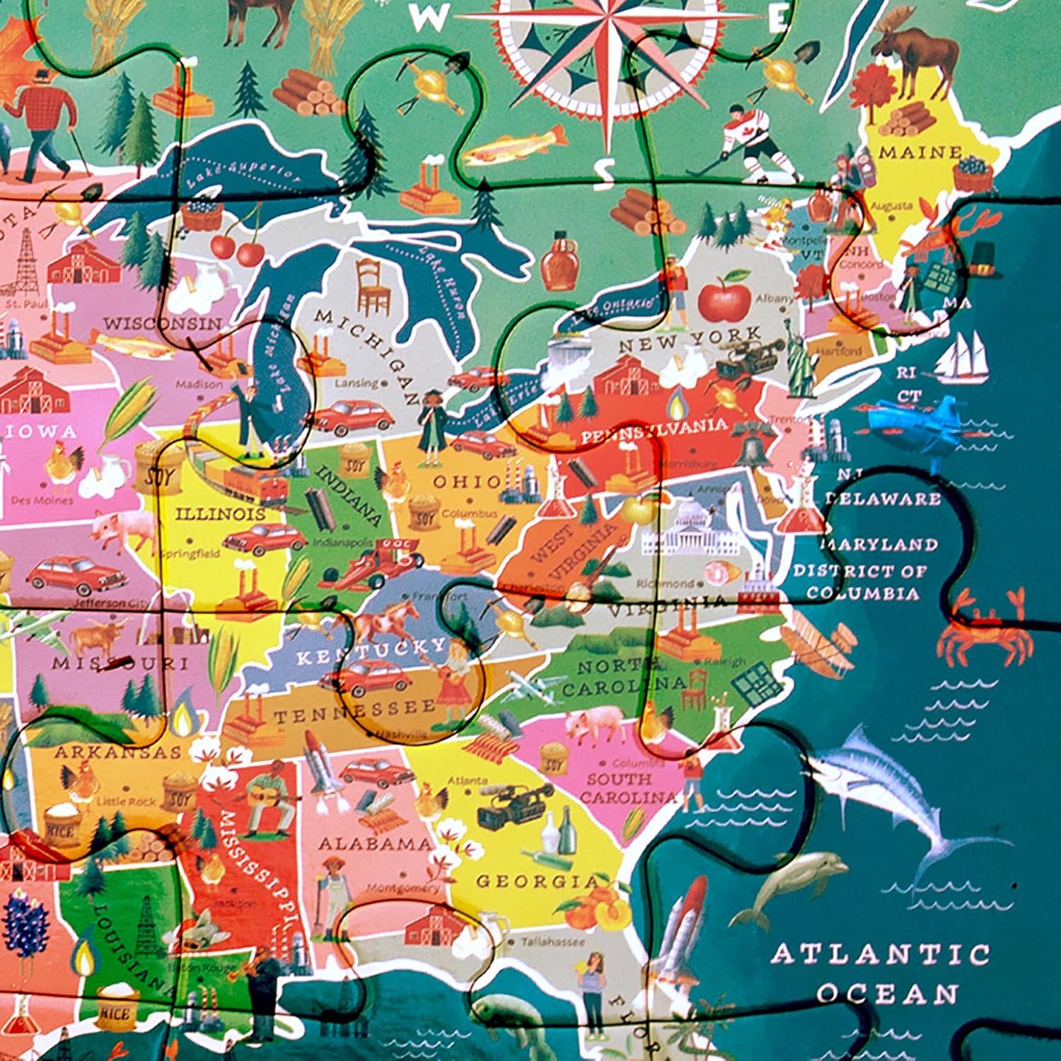 eeBoo 20 Piece Giant Floor Puzzle - USA Map Children's Puzzle Geography & Cultural Themed, Large Pieces for Small Hands to Develop Motor Skills