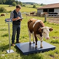 Vista 8 de Báscula industrial de suelo de 48 x 48 pulgadas, báscula de palé precisa con indicador digital, báscula de pesaje resistente para pesaje de almacén