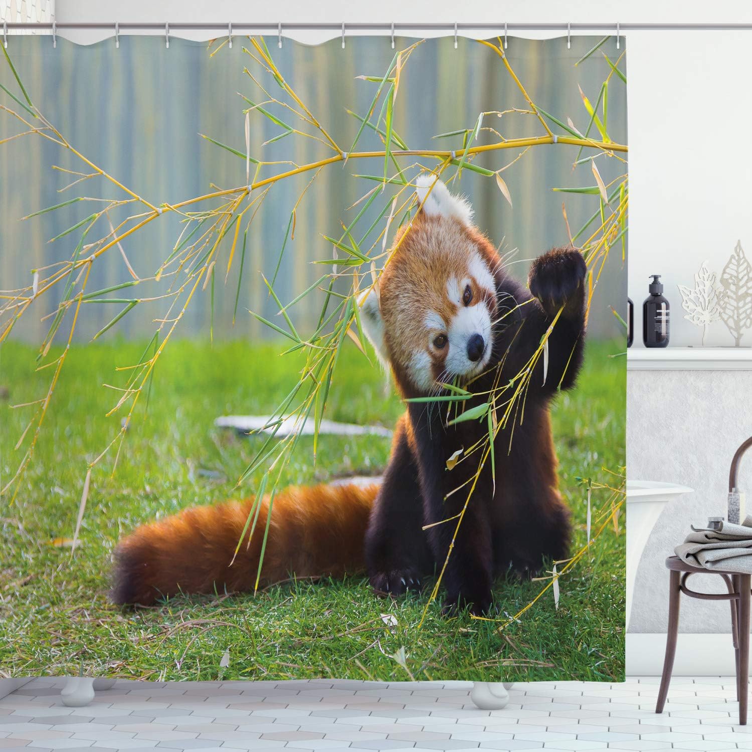 Ambesonne Panda Shower Curtain, Wild Animal on The Meadow Playing with Branches in Himalaya Mountains Picture, Cloth Fabric Bathroom Decor Set with Hooks, 69" W x 70" L, Brown and Red