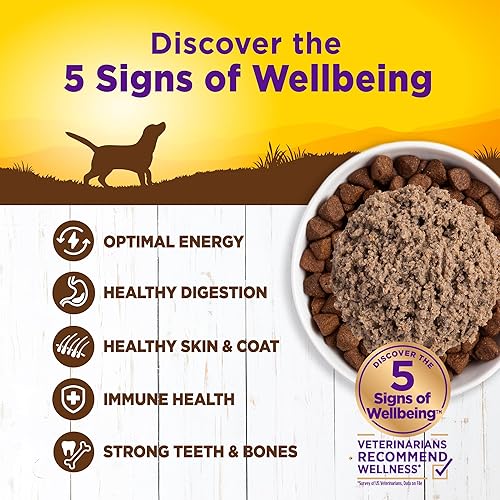 Miniatura 3 de Alimento húmedo completo para perros Wellness, natural, saludable, enlatado, Magenta