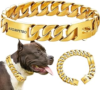 Personalized Dog Collar Custom Pet Name Heavy Duty Chew Proo