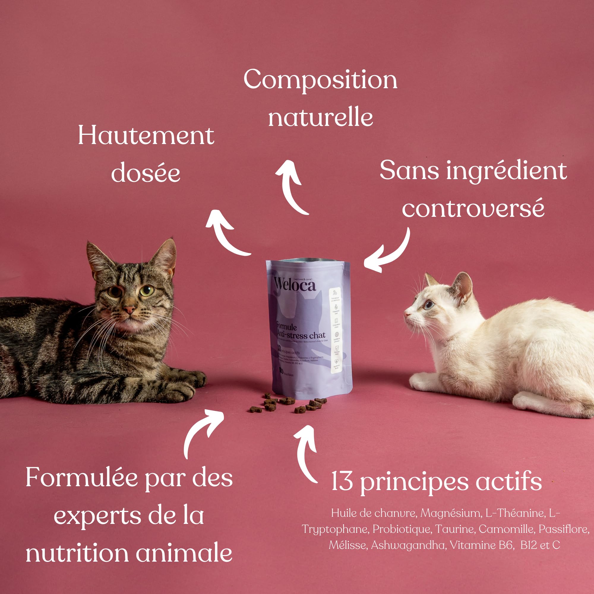 Anti-stress Chat - Anti marquage Urinaire, Anti griffade - Apaisant contre les problèmes comportementaux du chat ou changements (déménagement) - 120 bouchées naturelles très appétentes - Calmant chat