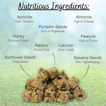 Exotic Nutrition Squirrel Beneficial Blocks - Healthy & Unique Supplemental Food with Nuts & Seeds, 20 oz