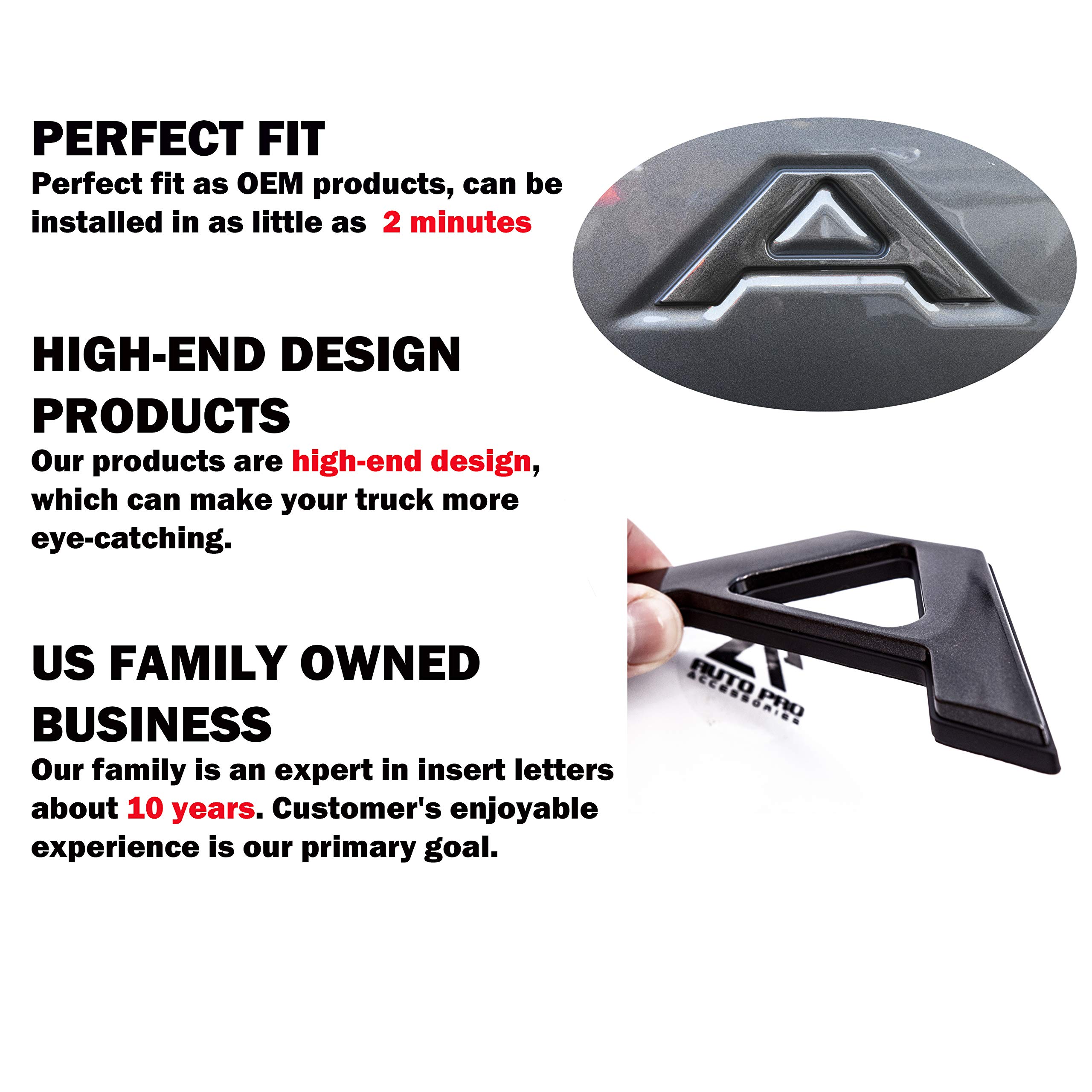 Auto Pro Accessories Tailgate Insert Letters Compatible with 20192021