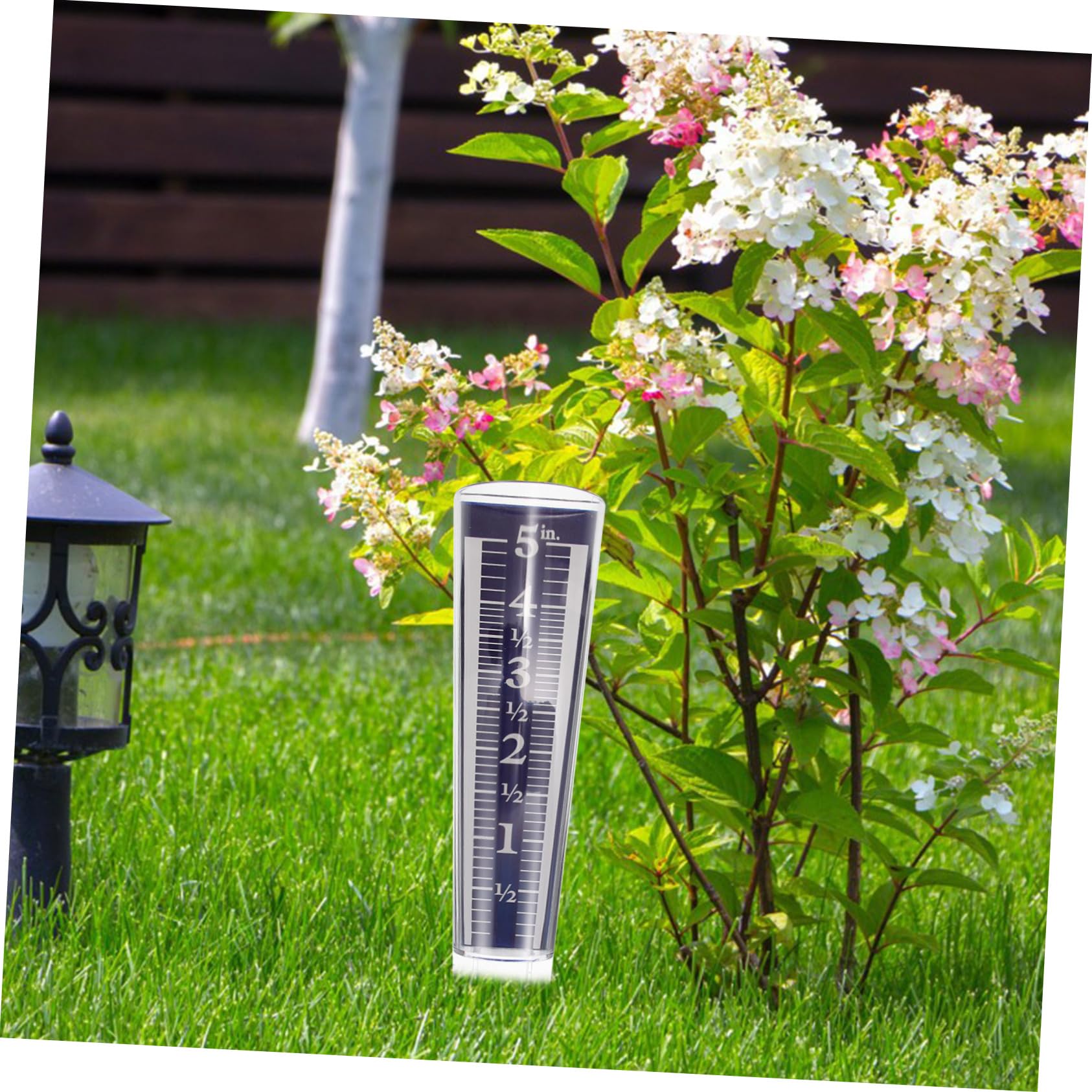 ifundom 5stücke Transparenter Regenmesser Mit Regenmessröhre Für Garten Und Outdoor Präzise Niederschlagsmessung Rundes Design Einfach Abzulesen Für Pflanzenbewässerung Geeignet
