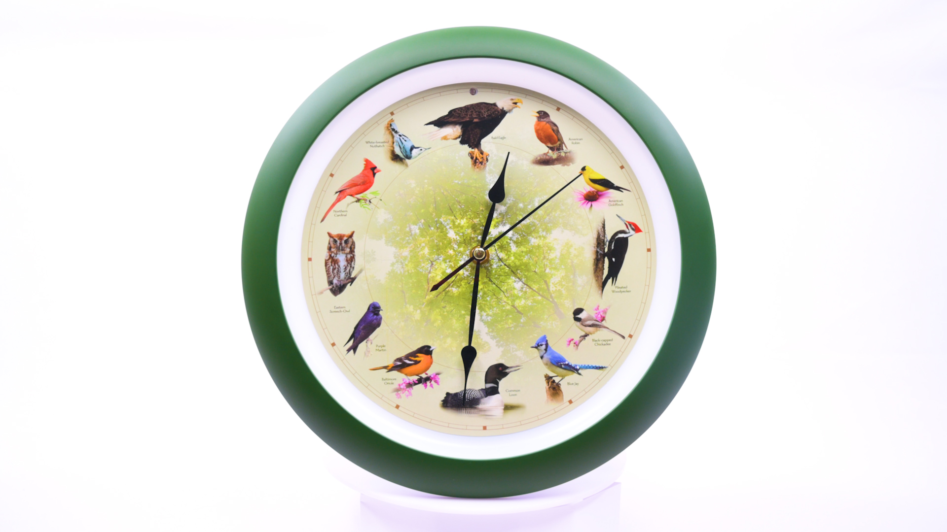 Watch Limited Edition 20th Anniversary Singing Bird Clock, 13 Inch