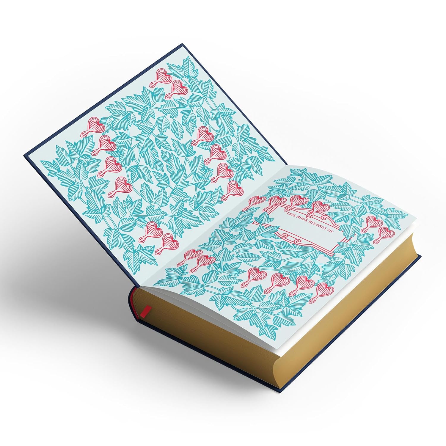 New Moon: Deluxe Collector’s Edition (The Twilight Saga, 2) - Image 5