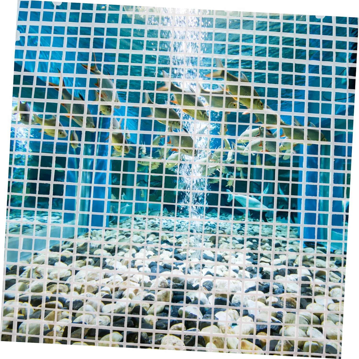 YARNOW 1set Fish Tank Isolation Grid Divider Aquarium Isolation Board Cups for Breeding and Protecting Fish Your Aquarium Easy to Install
