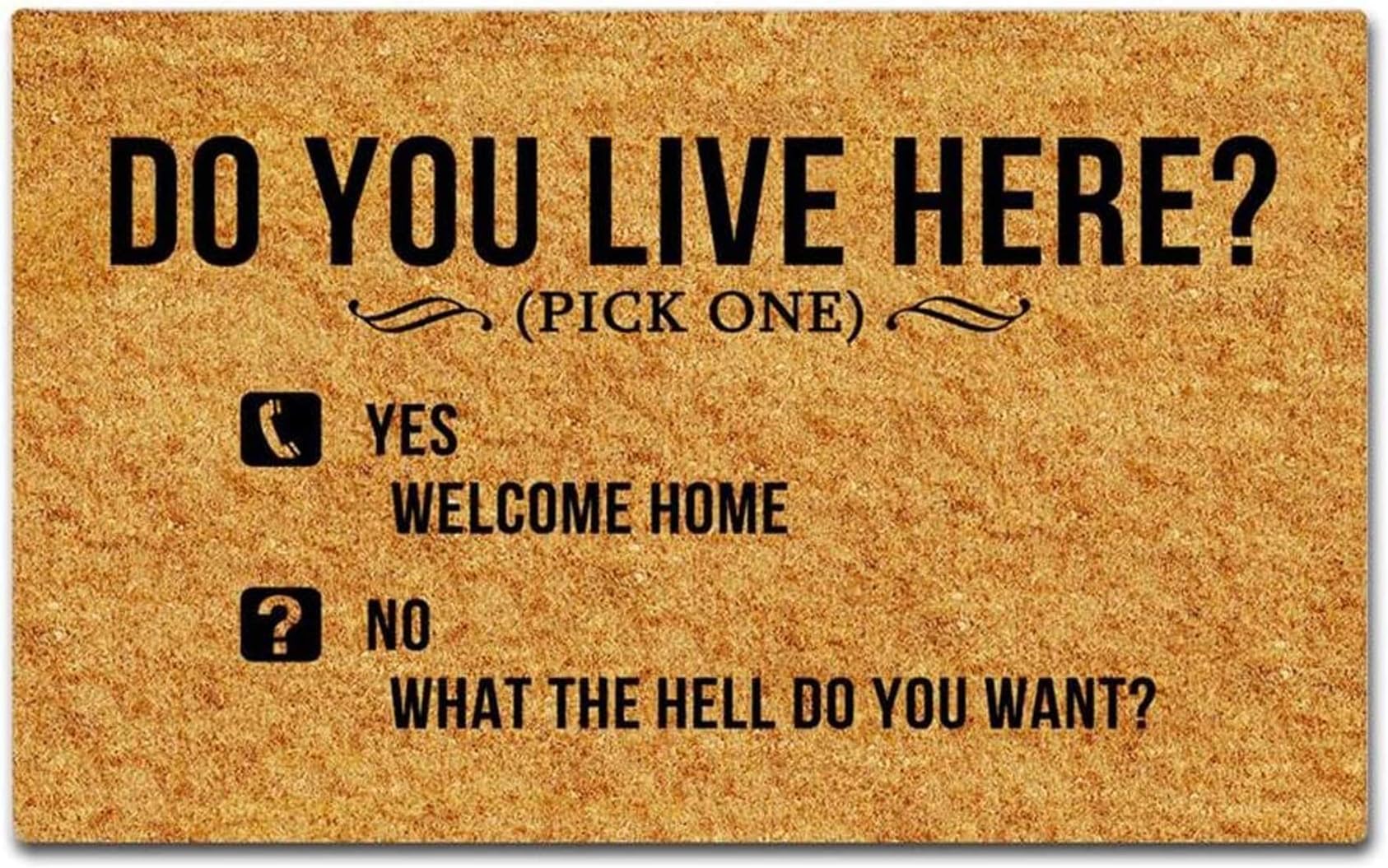 MsMr Entrance Doormat - Funny and Creative Doormat - Do You Live Here Door Mat for Indoor Outdoor Use Non-Woven Fabric Top 23.6x15.7Inch
