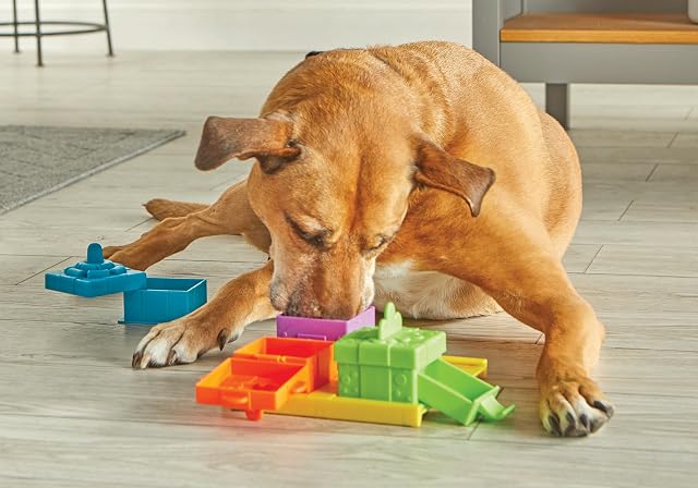 Foto 2 de 8 de Brightkins ¡Fiesta Sorpresa! Rompecabezas de golosinas para Mascotas, Juguetes interactivos para Perros