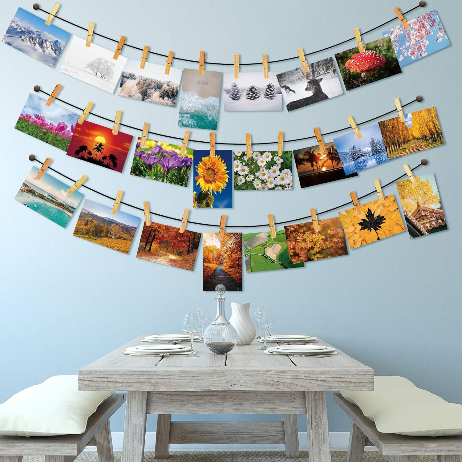 60 Pieces Fun Facts Postcard Wild Animal Bird Seasonal Landscapes Funny Postcards 20 Designs Postcards for School Students Teacher Thank You Note Cards, 4 x 6 Inches (Four Seasons) : Office Products