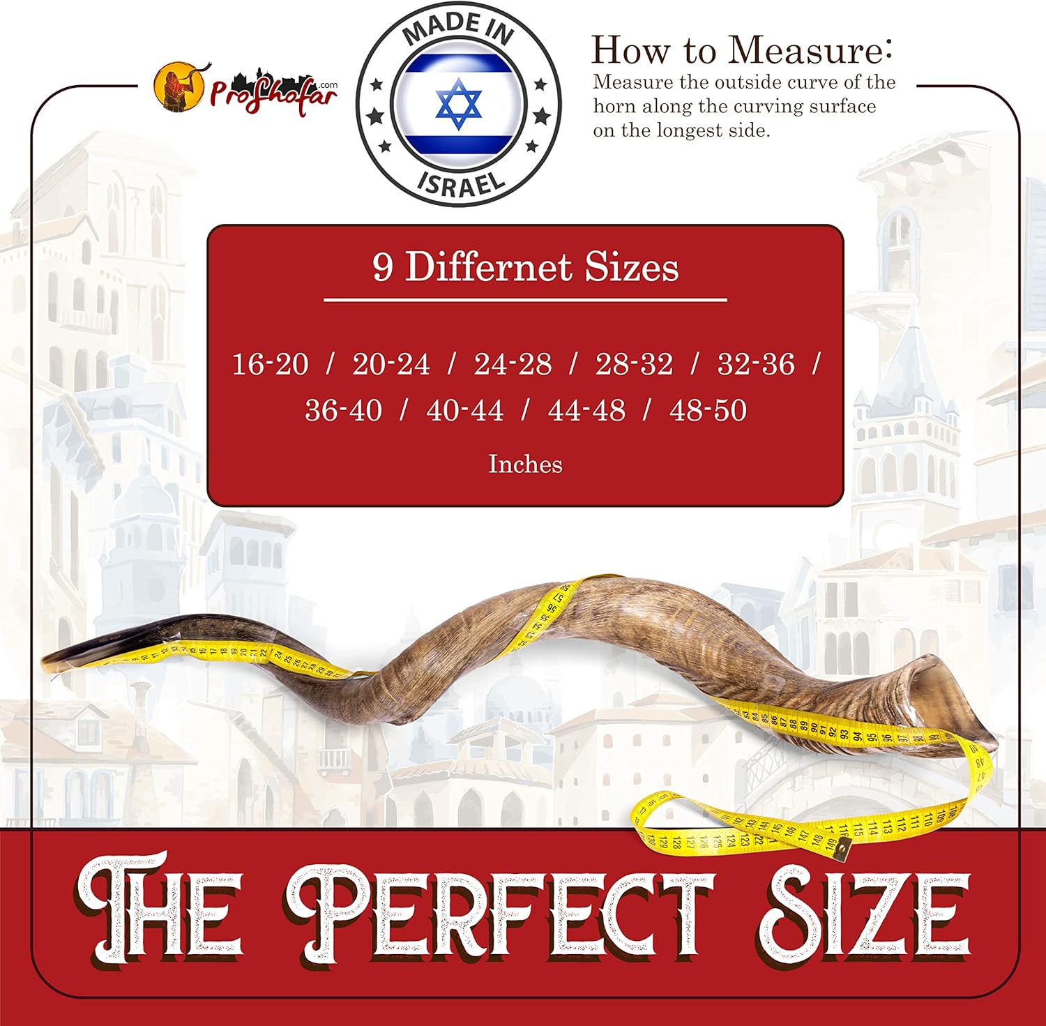 Yemenite Kudu Horn Shofar – Natural Finish- Small - Size: 18" - 20"