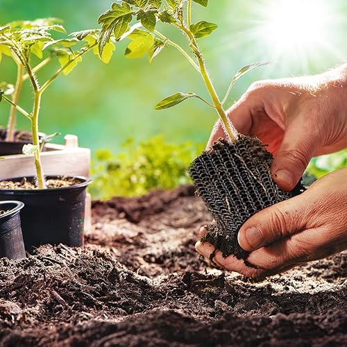 Miniatura 5 de 6 cestas de protección de raíces, cestas de velocidad de alambre Gopher, cestas de acero inoxidable para topos y campañoles para protección de