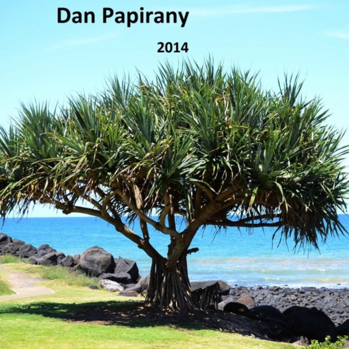 Dan Papirany