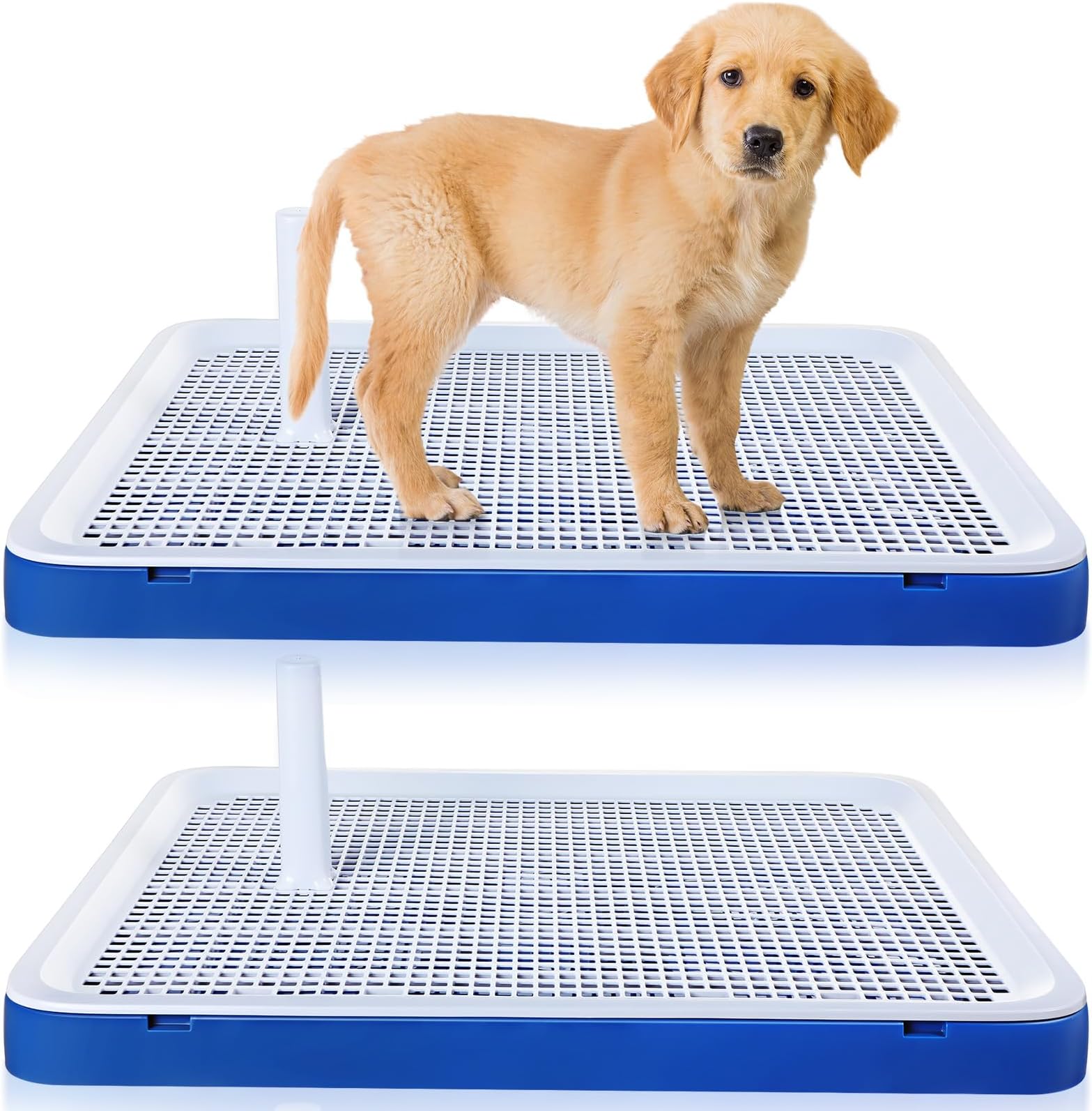 Mifoci 2 Pcs Dog Potty Tray Mesh Puppy Training Pad Holder