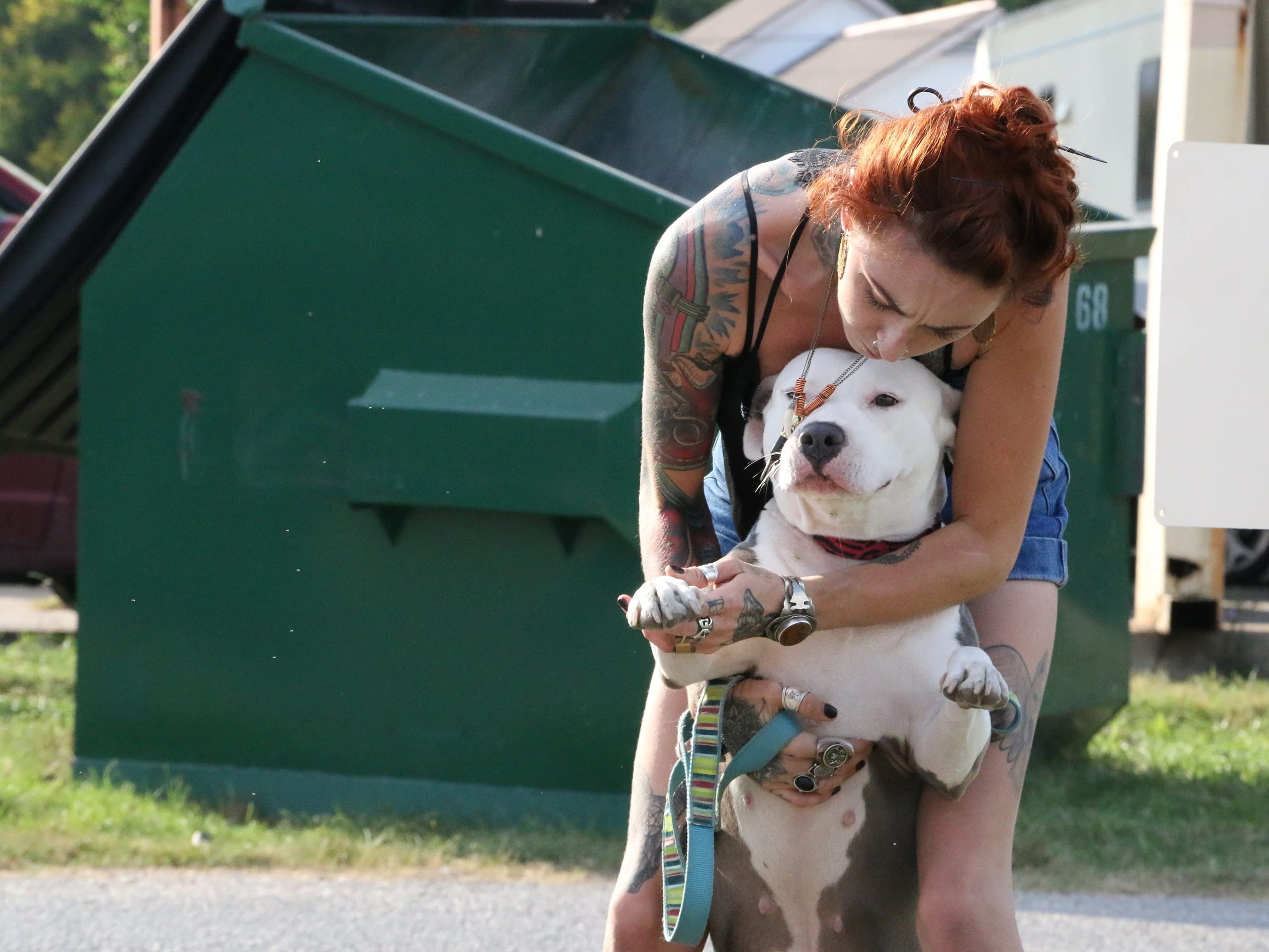 How Much Does It Cost To Adopt A Dog From Villalobos