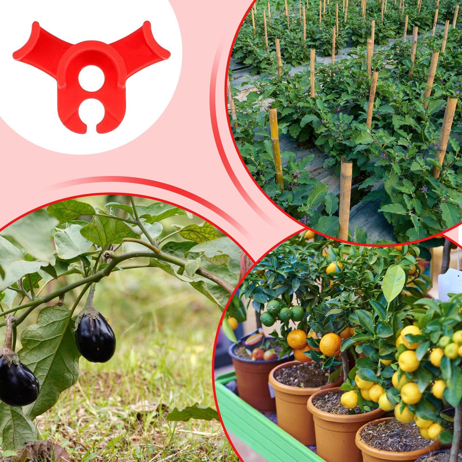 Lot De 60 Clips D'entraînement à 90 Degrés Pour Plantes - Clips D