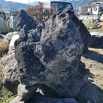 Amazon.co.jp: 浅間溶岩石166キロ庭石鑑賞石石盆石水石灯籠庭坪庭盆栽