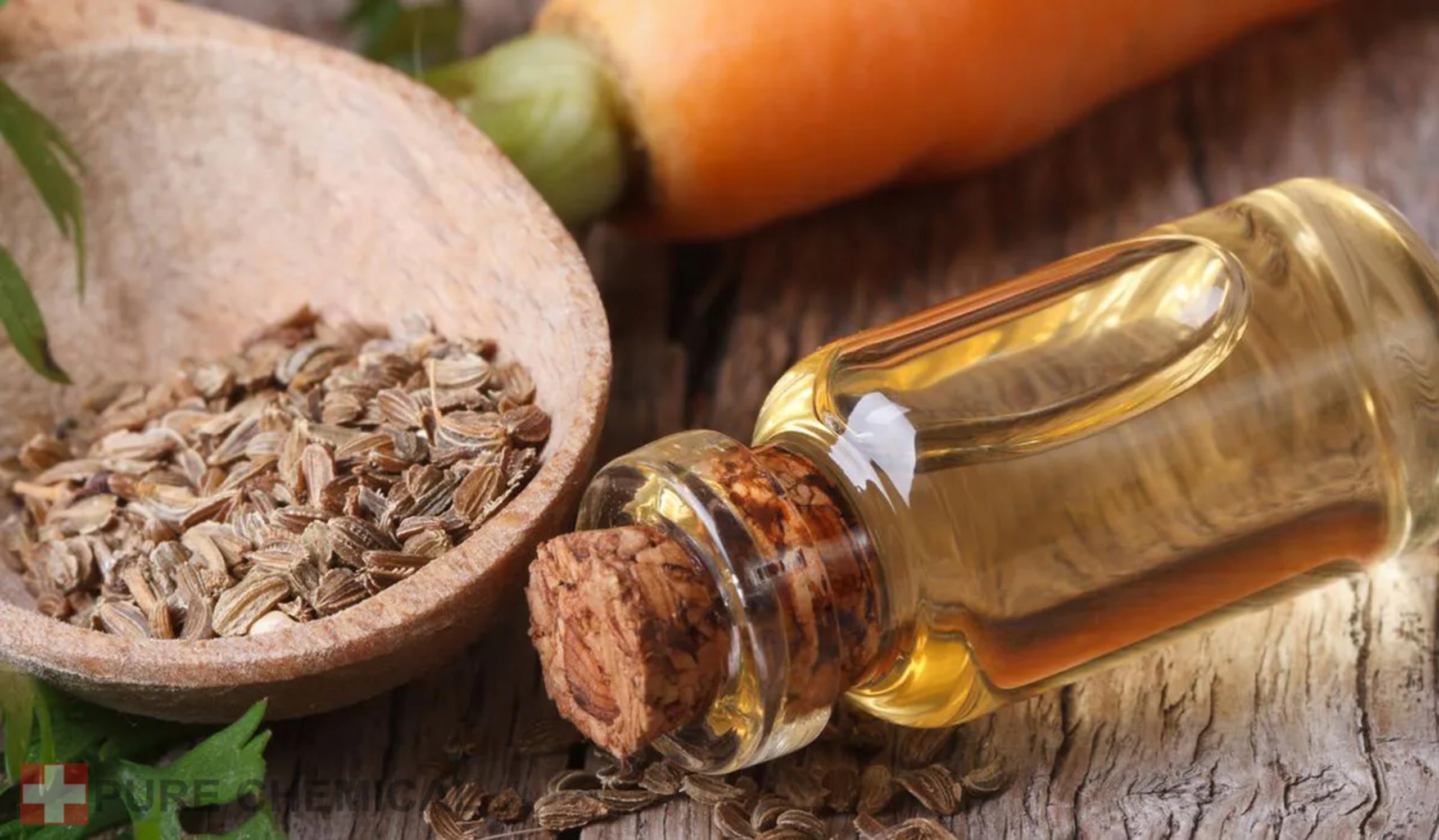 CHOSA Karottensamenöl Bio Kaltgepresst Unraffiniert 1000 ml | 100% Reines Karottenöl Gesicht, Körper und Haare, Sonnenöl Sonnenschutz und Bräune, Reich an Antioxidantien