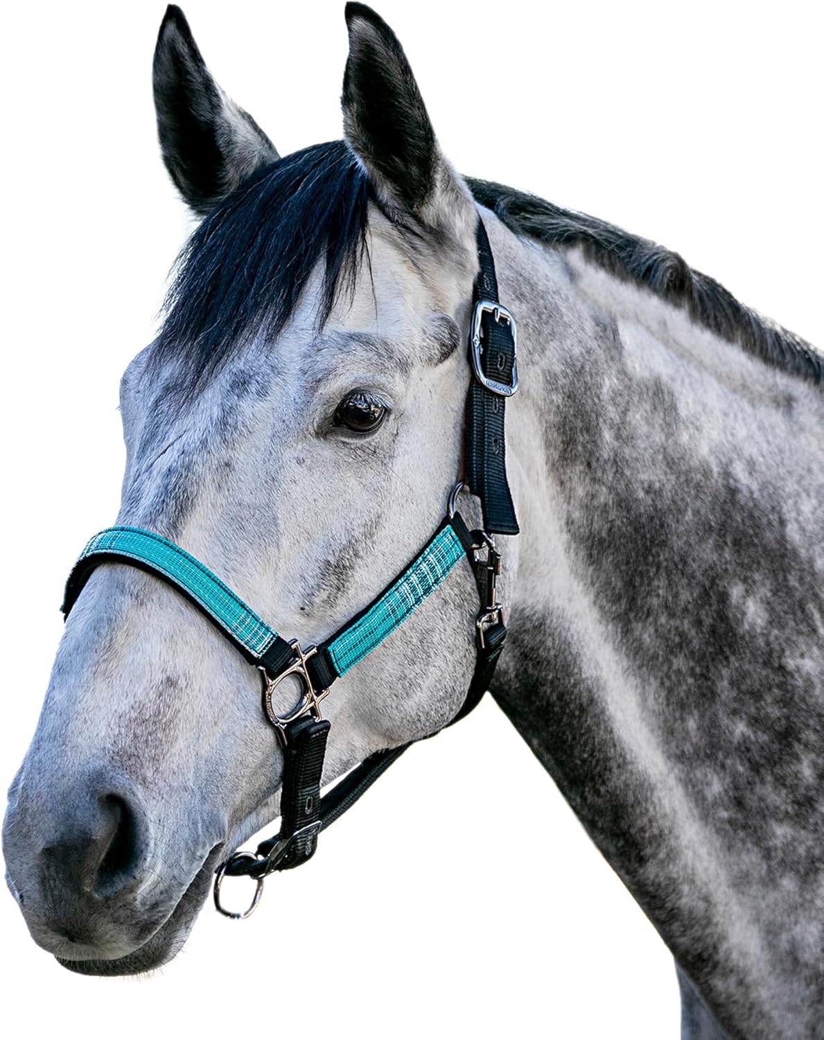 Kensington Premium Nylon Halter Size: XL-Lrg.Horse Color: 2021 - Atlantis