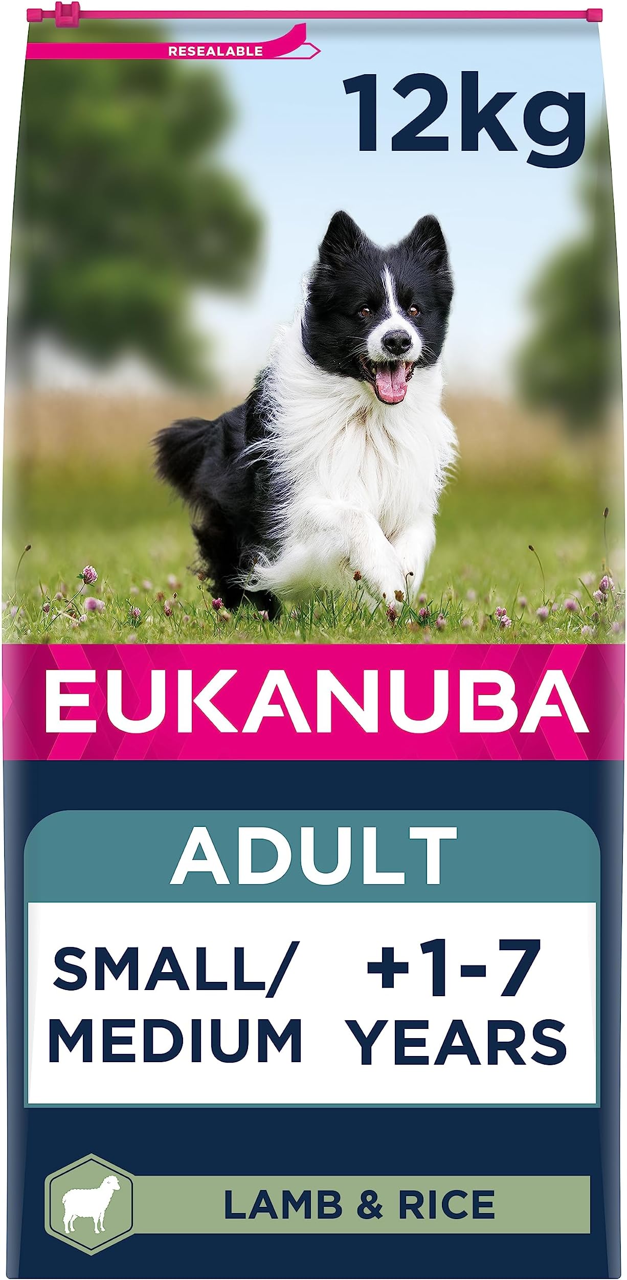 Eukanuba Complete Dry Dog Food for Adult Small and Medium Breeds with Lamb and Rice 12 kg