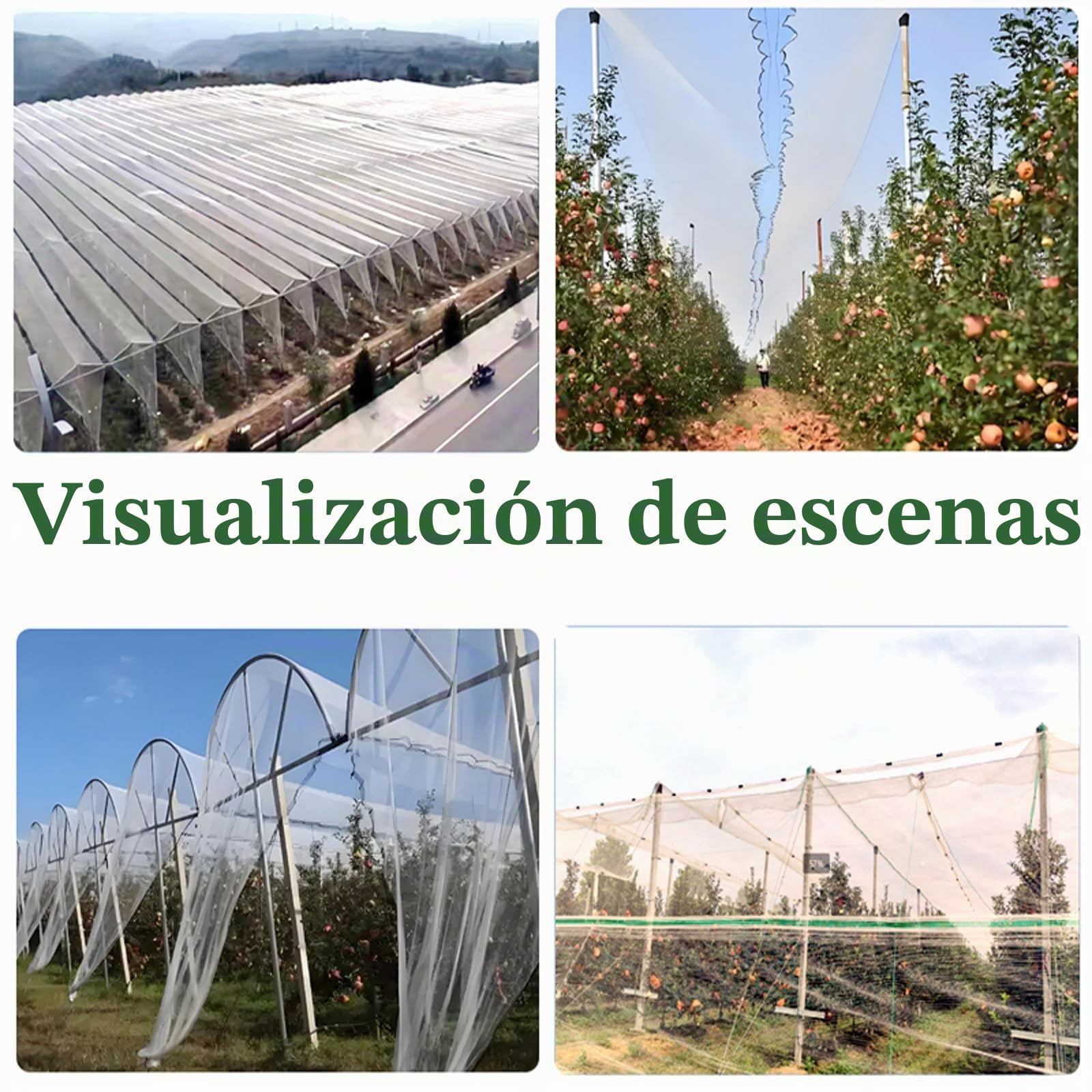 Malla Antigranizo,Red Antipajaros,Red ProteccióN Insectos Huerto Adecuado,Malla AntipáJaros para ProteccióN De JardíN,Proteccion Plantas,para ProteccióN De Frutas Y Verduras