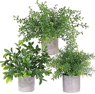 Set di 3 mini piante assortite in vaso di eucalipto artificiale, rosmarino, bosso, verde in vaso, bagno, fattoria, verde, centrotavola da tavolo per scrivania ufficio e cucina