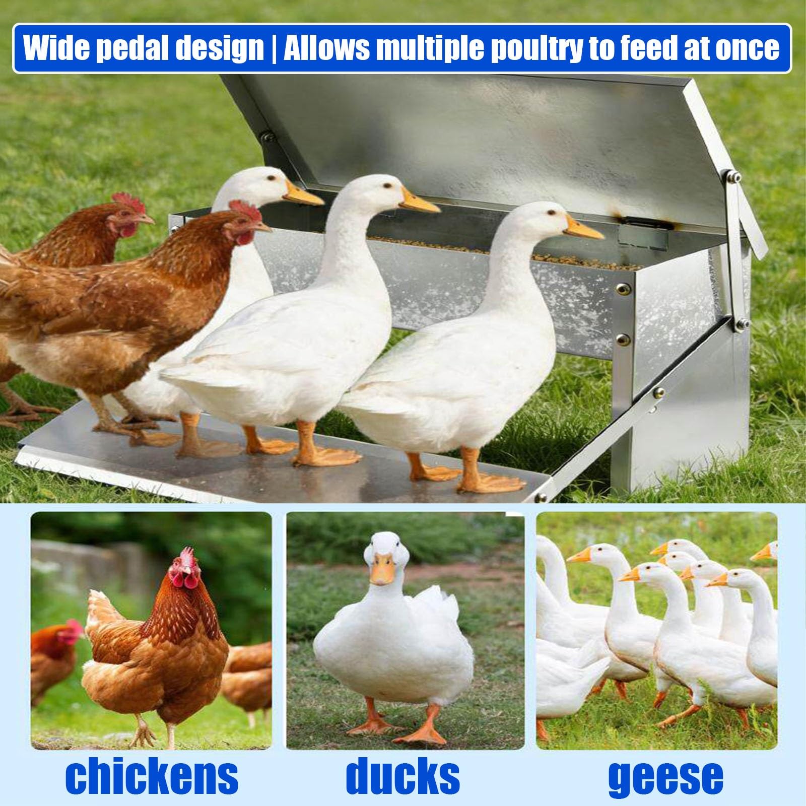 Comedero A Pedal Para Gallinas, Comedero Automático Metálico Para Aves, Sin Desperdicio Y A Prueba De Roedores, Tapa Resistente A La Intemperie, Para Gallinas Enanas Y Faisanes(95x17.5x17.5cm)