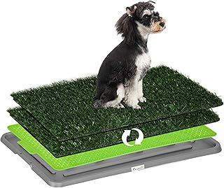 PawHut Hundetoilette mit Gras 67 x 41 cm Hundeklo Trainingsunterlage mit 2 Austauschbarer Kunstrasen Welpentoilette für Kleine Hunde Grosse Hunde ältere