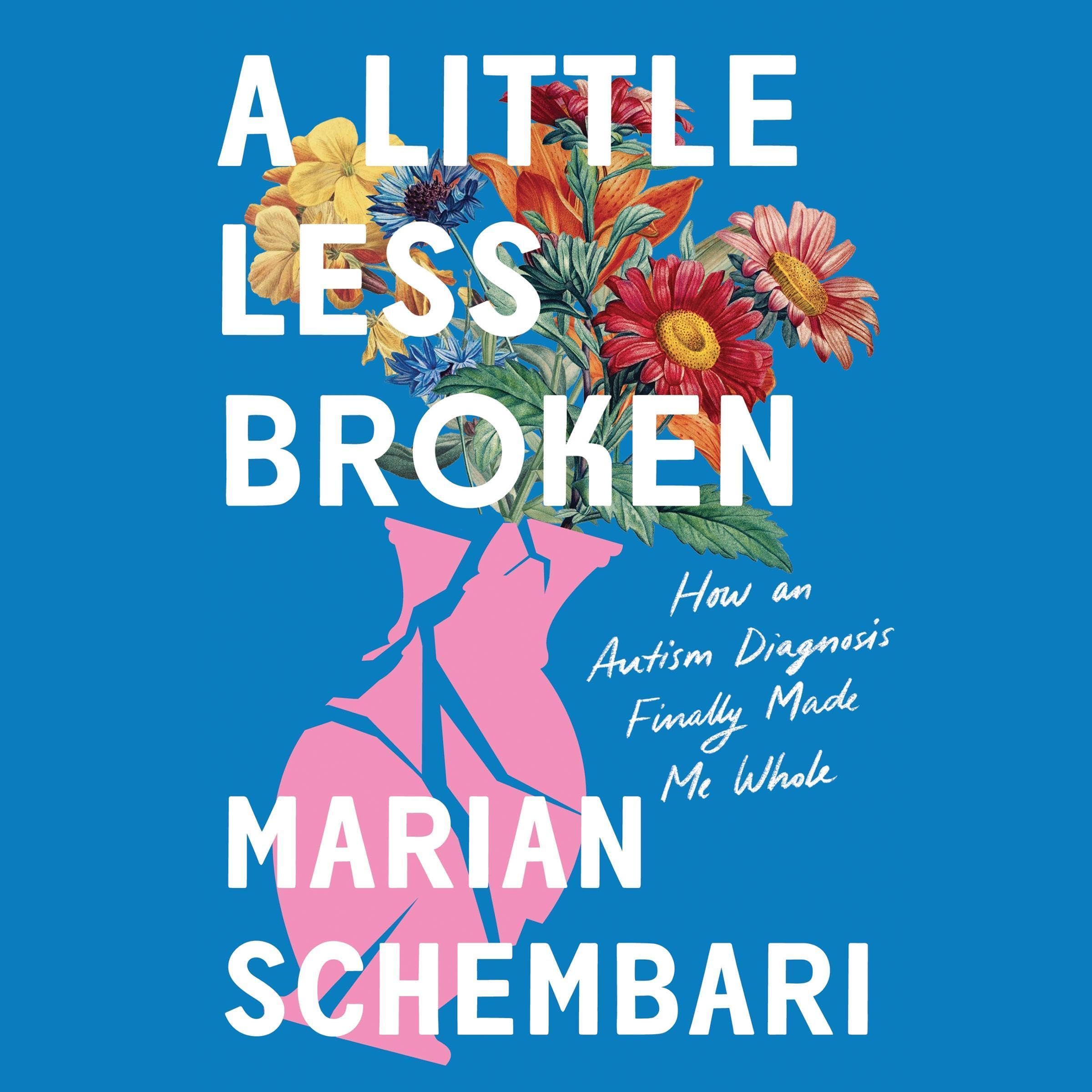 Cover art for A Little Less Broken