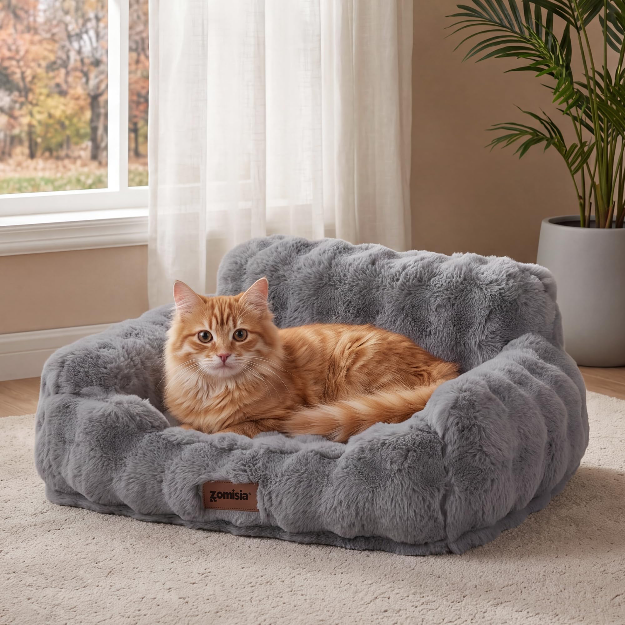 ZOMISIA Canapé pour chat d'intérieur – Canapé orthopédique pour chat avec mousse d'œuf de soutien, housse amovible lavable et fond antidérapant, gris