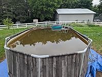 Review Image by Pete Pete