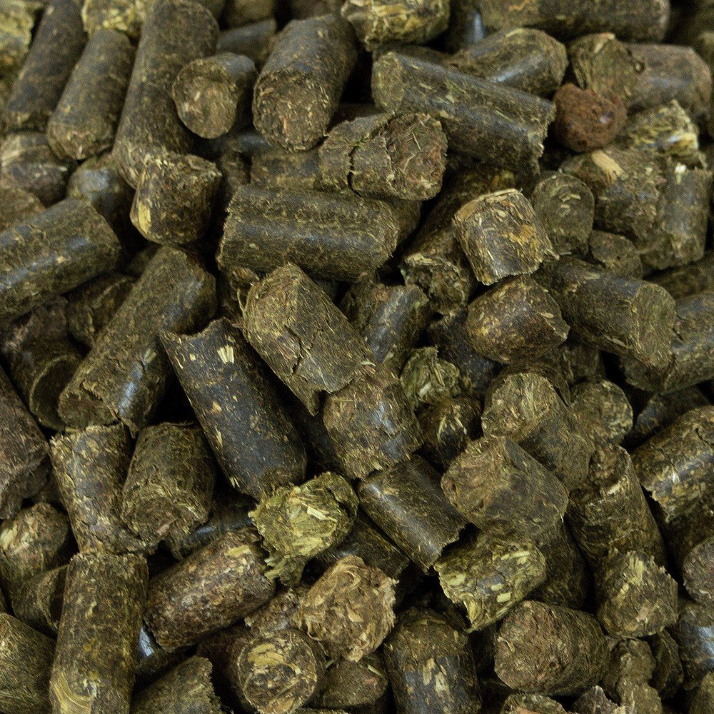 Mühldorfer Heucobs bezpyłowy, 20 kg, zestaw ognia, do suchej karmienia, bogata w surowe podłoże dla wszystkich koni, również dla alergików