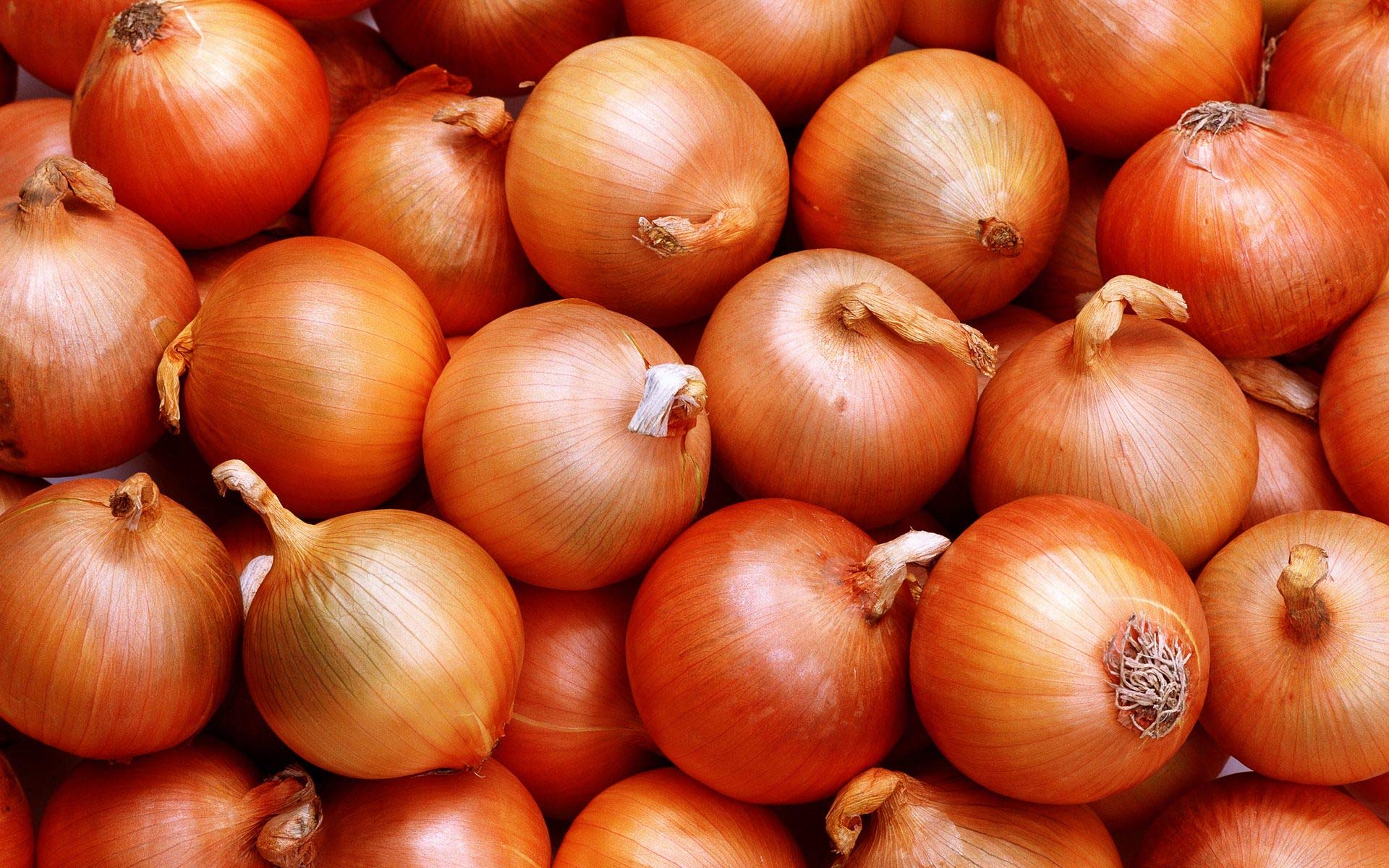 Creative Farmer Vegetable Seeds Onion Star Z Red Seeds - Onion Red Seeds Seeds For Summer Season Home Garden Seeds (B07N4CFD53) Amazon Price History, Amazon Price Tracker