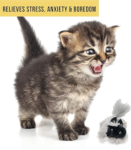 Vista 24 de Juguete para gato OurPets Play-N-Squeak, Ardilla, S, Ardilla