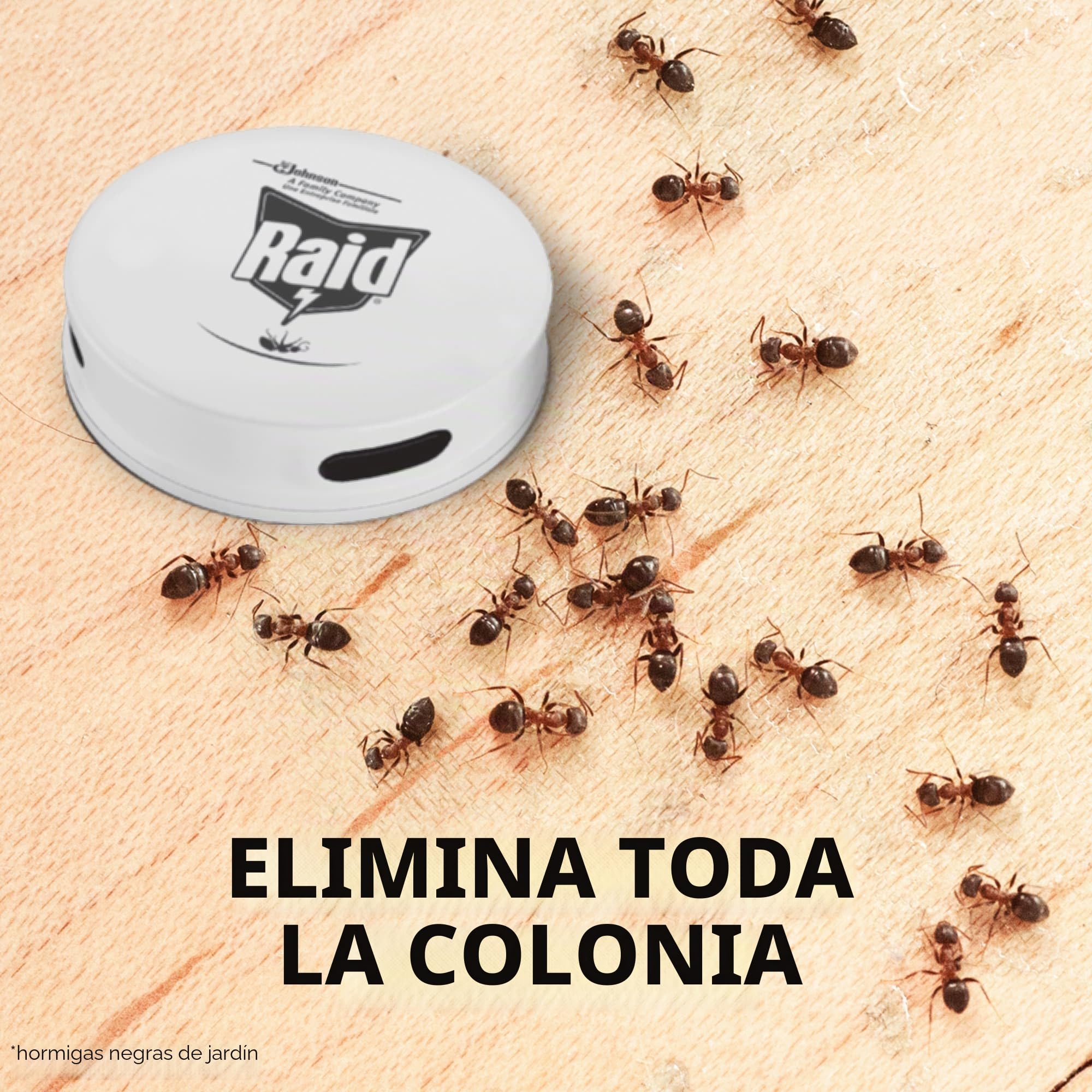 Raid Estación de cebo para hormigas, mata hormigas de larga duración para uso en interiores y exteriores, destruye nidos, paquete de 12