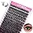 FADLASH Cluster Lashes D Curl Wispy Individual Lashes DIY Eyelash Extension Natural Look Reusable Fluffy Cluster Eyelash Extensions Self Application at Home (50D-0.07D-12-18MIX)