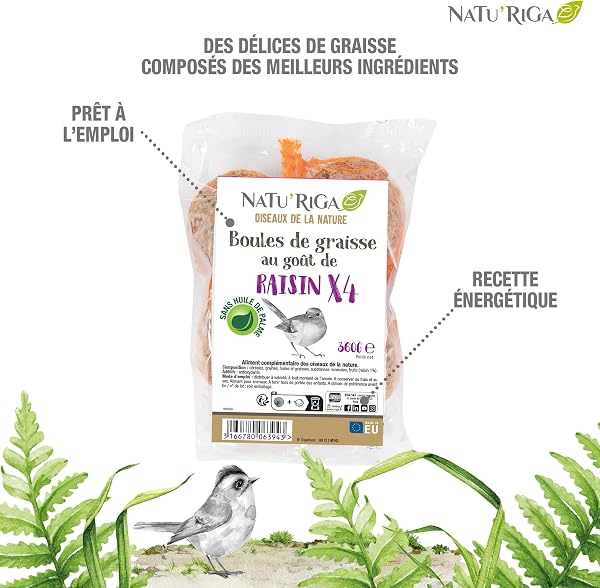 Riga - NATU'RIGA - Boules De Graisses Au Raisin - Nourriture Oiseaux Exterieur - Recette Énergétique - Renforce Système Immunitaire - Idéales en Hiver - x 4 - 2